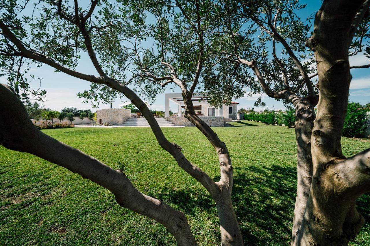 Villa Olivetum Zadar Exterior foto